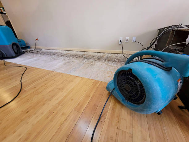 Professional Sewage Cleanup technician working in Brush Creek, TN